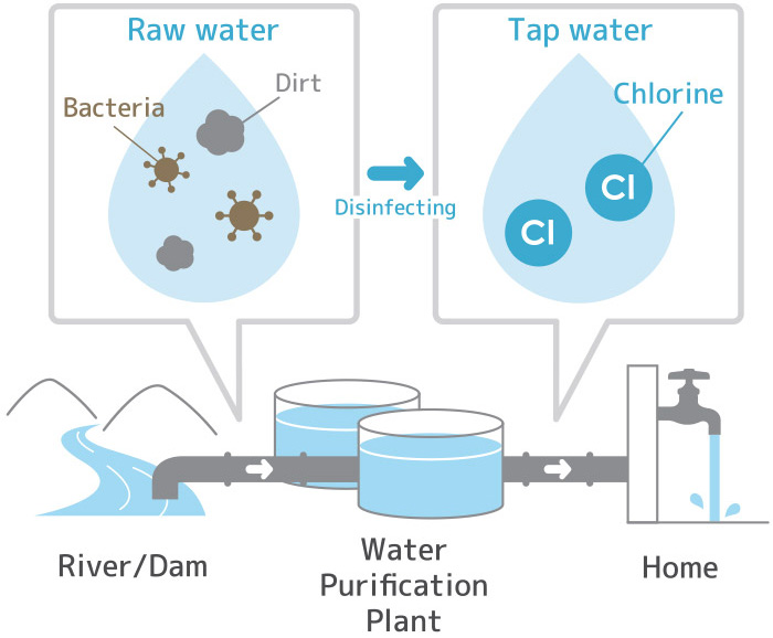 How tap water is made